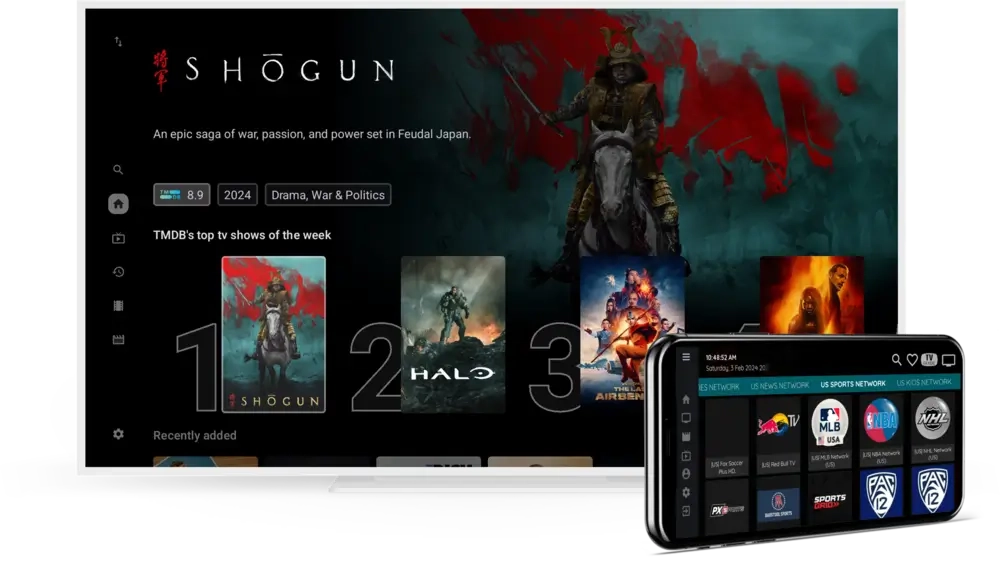 IBOGold TV App & Mobile Interface